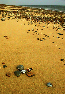 SHORE